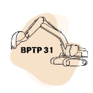 BPTP31