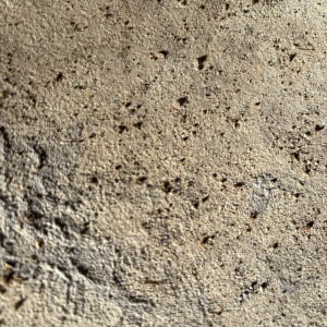 Sebastien C. (C.S BATI-SERVICES)