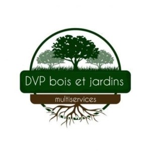 David P. (DVP MULTISERVICES)