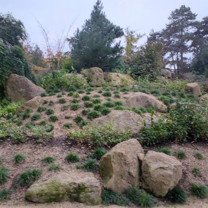 Laurent B. (Laurent Paysage)