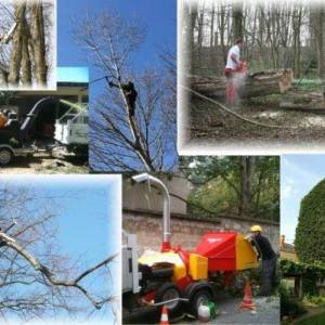 Jessy (Élagage. Abattage entretien esp...