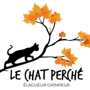 Tristan F. (Le chat perché)