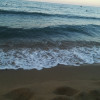 avatar Rim S. (RMS NET)<