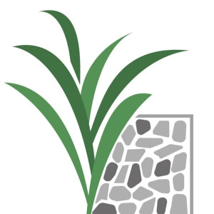 Jonathan B. (les jardins de JO)