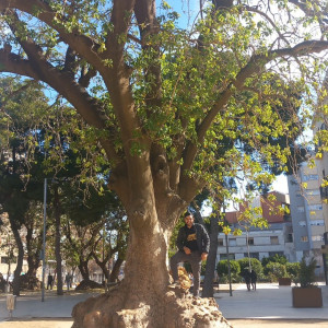 Romain L. (RML ELEC)