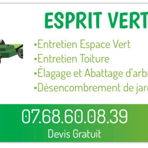 Alex B. (Esprit vert)