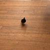 Yuwen H.