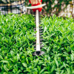 Florian L. (Finist’Terre Et jardins)