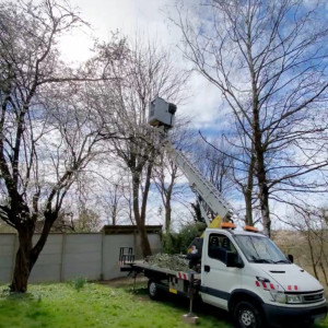 Junior H. (Jardin xpress)