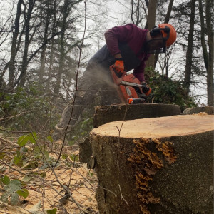 Hugo F. (HF Espaces verts)