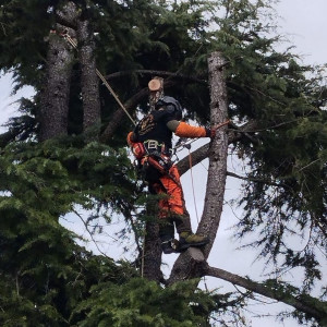 Yann M. (Terre D'Issole)