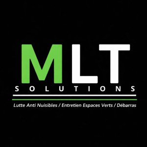 Romain M. (MLT Solutions)