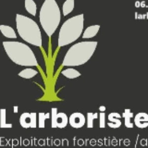 Clément C. (L'arboriste)