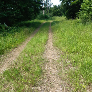 Philippe Dorschner P.