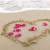 avatar Stephanie M.<