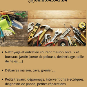 Florentin P. (poumarat multiservices)