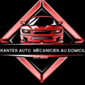 Abrantes P. (abrantes.auto)