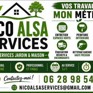 Nicolas E. (NicoAlsaServices)