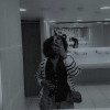 avatar Jenny F.<