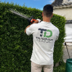 Tonyo A. (TDmultiservices)