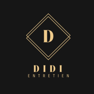 Adina R. (DIDI ENTRETIEN)