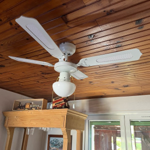 Alexandre P. (A.M.S. 83)