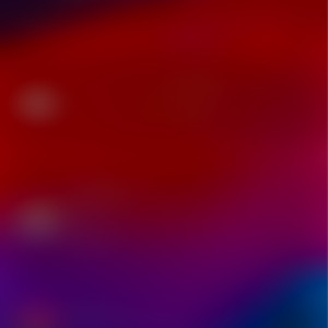 Anees M. (Bienvenue Batiement Professi...