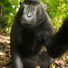 avatar Ismaël B.<