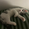avatar Jade N.<