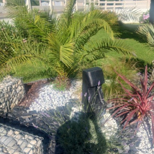 Benjamin G. (Jardin & Services)