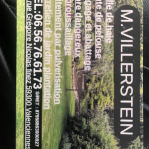 Gino V. (Gino Élagage)