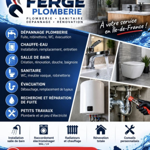 Ludovic F. (FERGE PLOMBERIE)