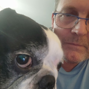 Jean-Luc F. (JLF-MULTISERVICES)