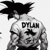 avatar Dylan G.<