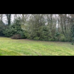 Aaron L. (leclerc green paysage)