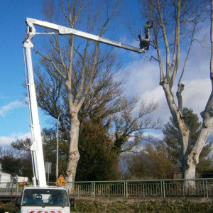 Dominique R. (RODIER)