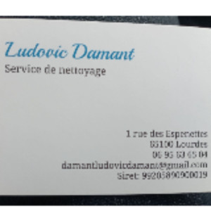 Ludovic D. (Damant)