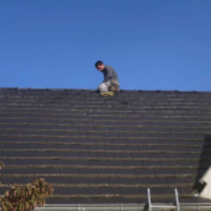 Imre B. (B.I.TOIT-SERVICES)