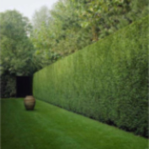 Anthony A. (Entreprise Abadie)