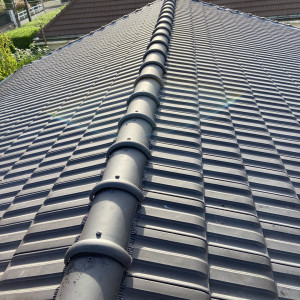 Levy P. (levy Petry)