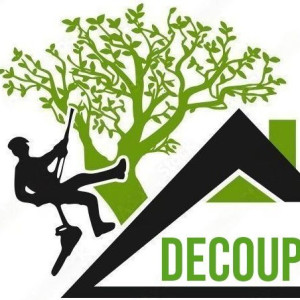 Motte M. (las du marché)