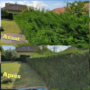 François B. (Beau François)