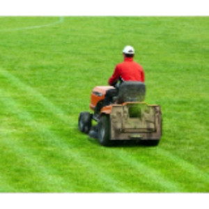 Mikael M. (jardin mao)