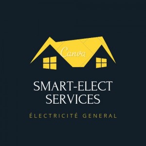 Djibril F. (Smart-Elect Services)