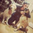 Alexis