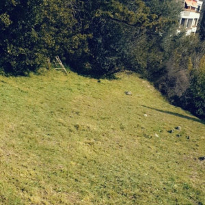 Thomas H. (Thomas Jardin)