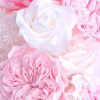 Basma M.