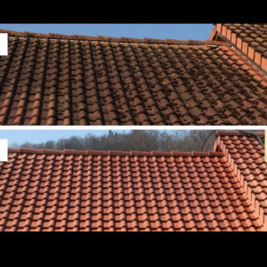 Artisan L. (Artisan D.L)