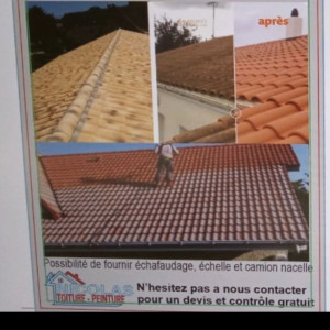 Nicolas P. (peinture et toiture)