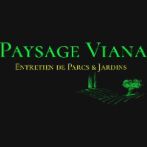 Dylan V. (Paysage Viana)